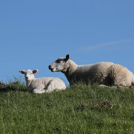 Heimathafen Sillenstede Schortens